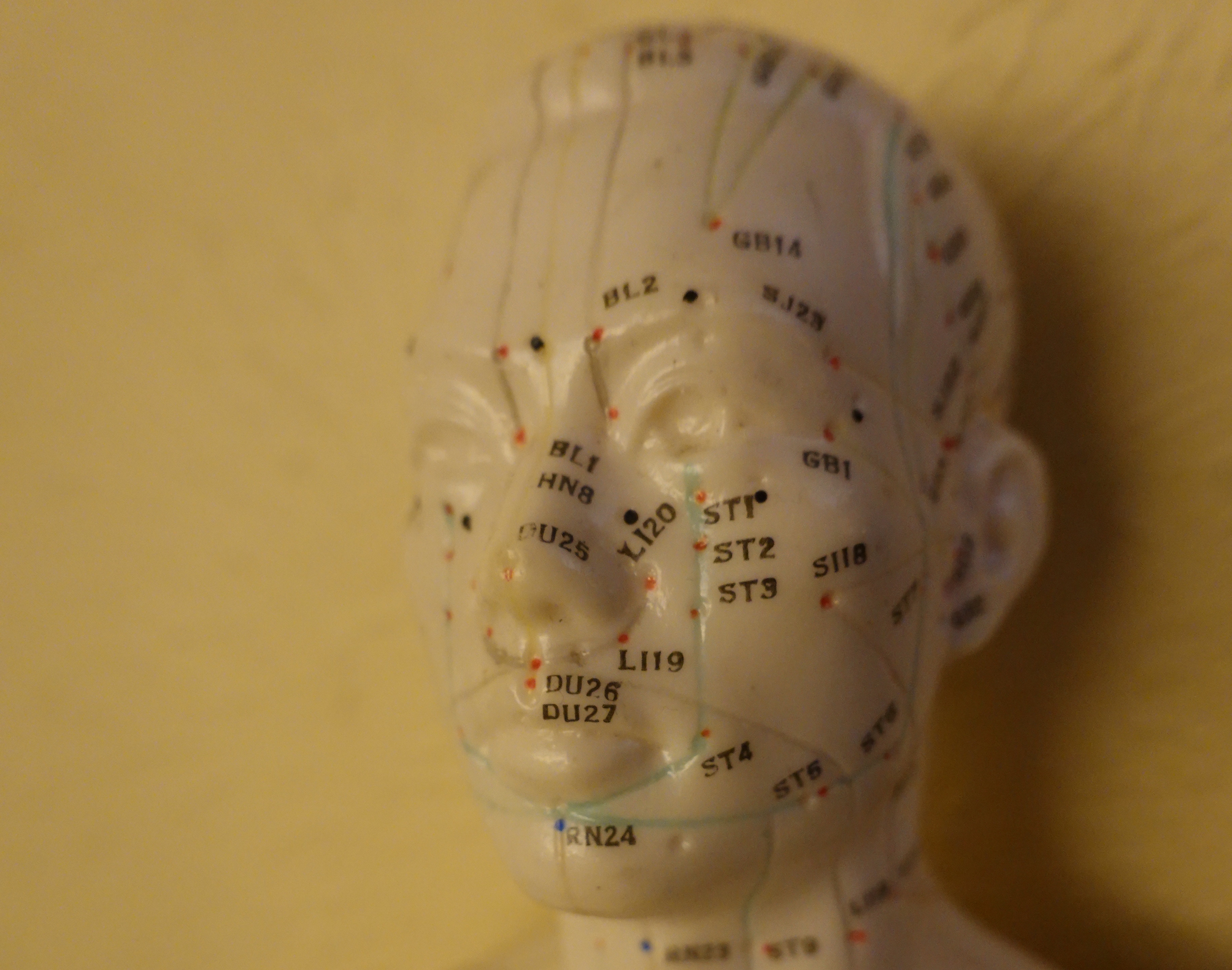 acupuncture points in head